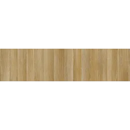 ABS rubnik Američki Hrast / R20119 NW