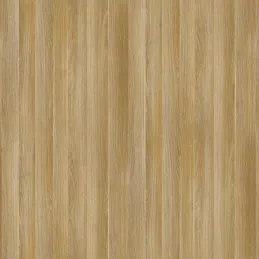 ABS rubnik Američki Hrast / R20119 NW