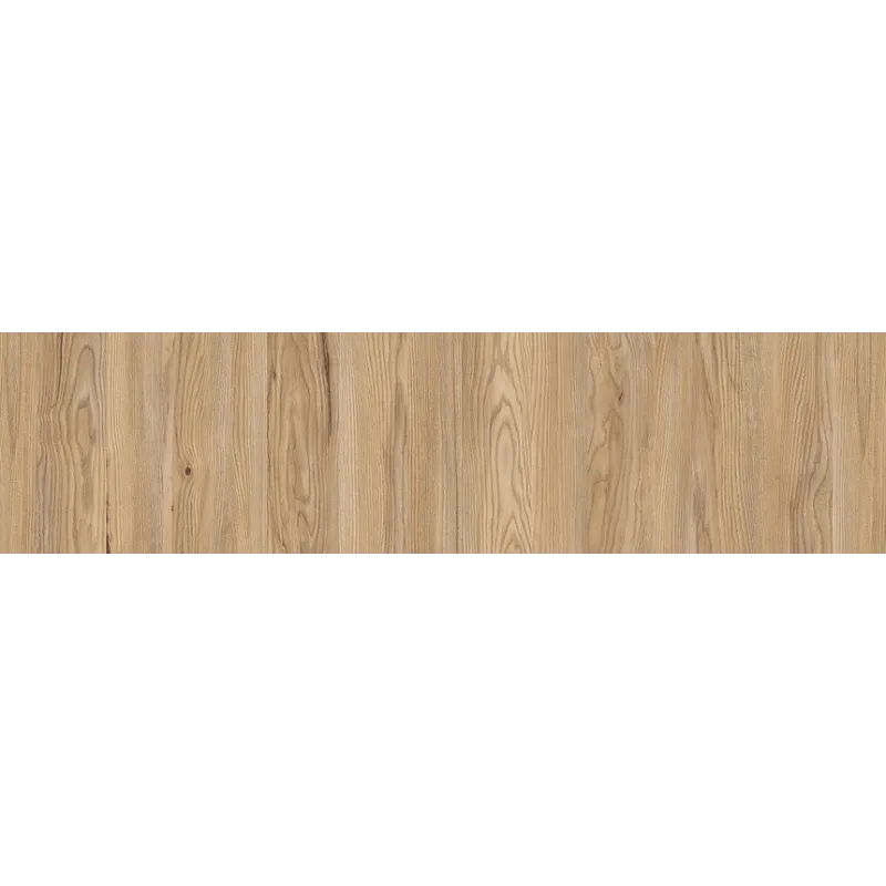 ABS rubnik Jasen Planinski / R34033 NW